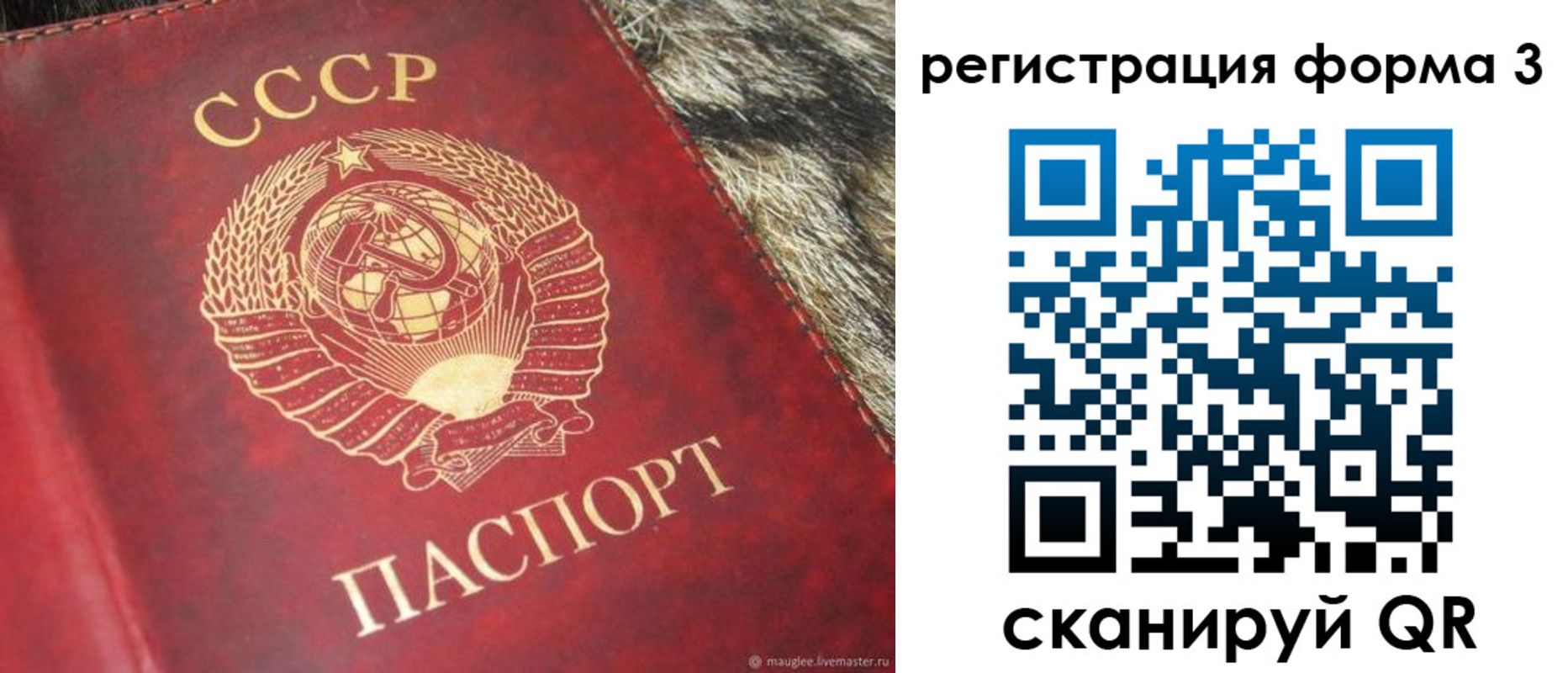 прописка регистрация в Сосновоборске